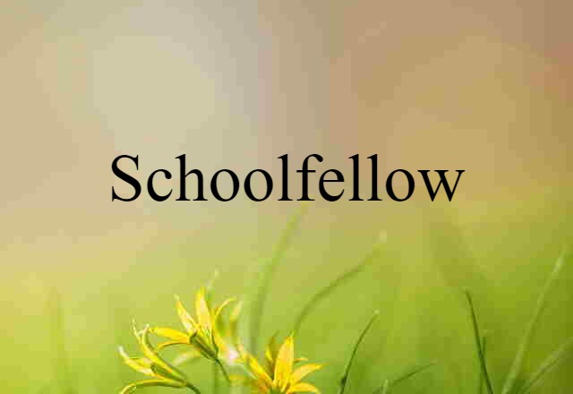 Schoolfellow (noun) Definition, Meaning & Examples