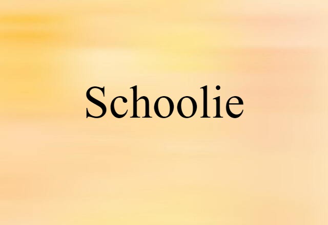 Schoolie (noun) Definition, Meaning & Examples