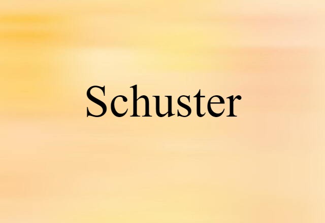 Schuster (noun) Definition, Meaning & Examples