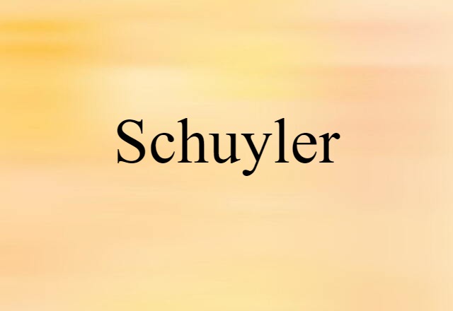 Schuyler (noun) Definition, Meaning & Examples