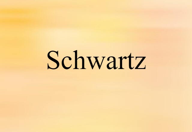 Schwartz (noun) Definition, Meaning & Examples