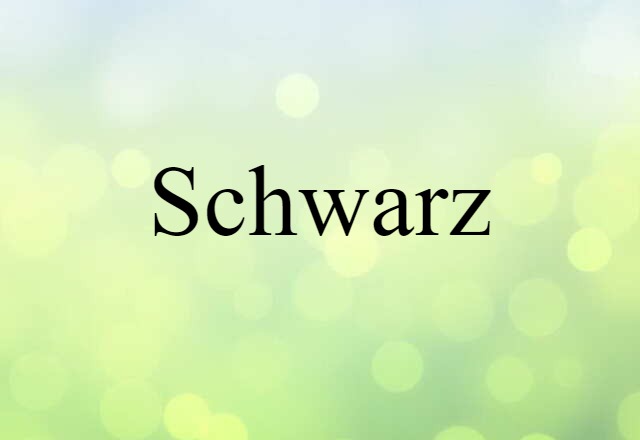 Schwarz (noun) Definition, Meaning & Examples