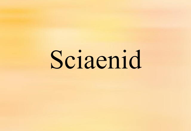 Sciaenid (noun) Definition, Meaning & Examples