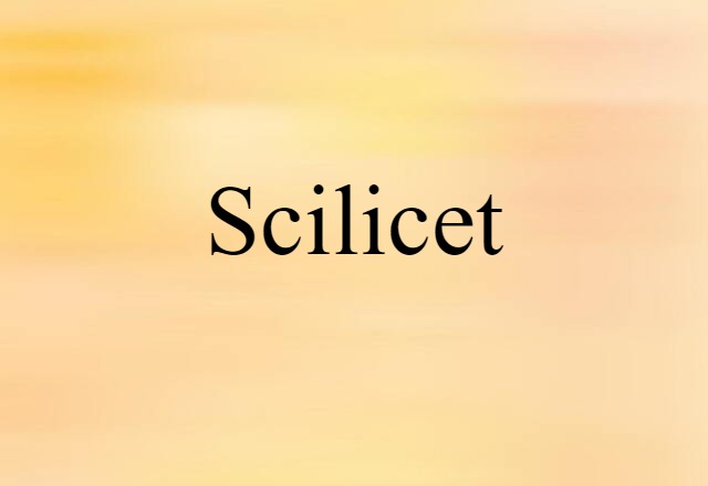 Scilicet (noun) Definition, Meaning & Examples