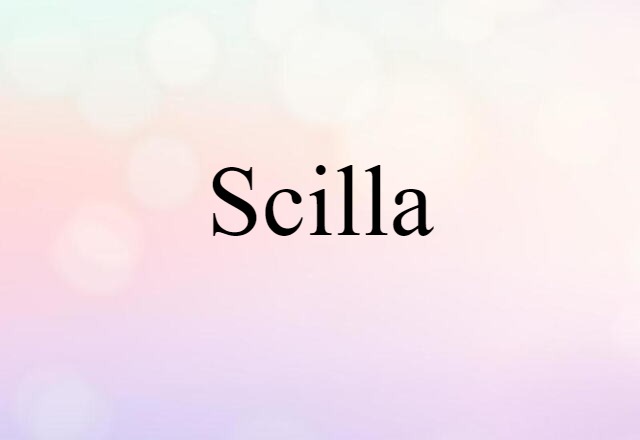 Scilla