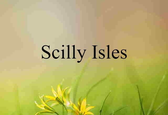 Scilly Isles