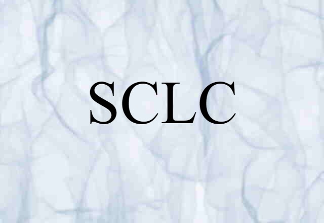 SCLC (noun) Definition, Meaning & Examples