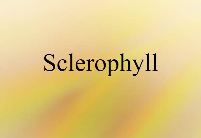 sclerophyll