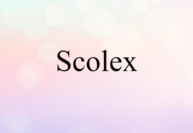 scolex