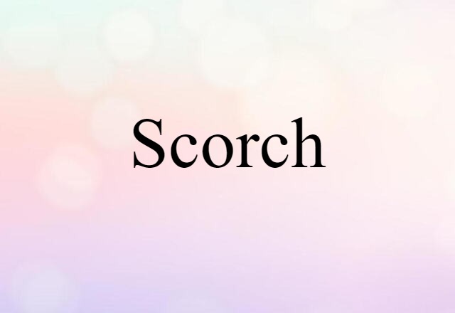 Scorch (noun) Definition, Meaning & Examples