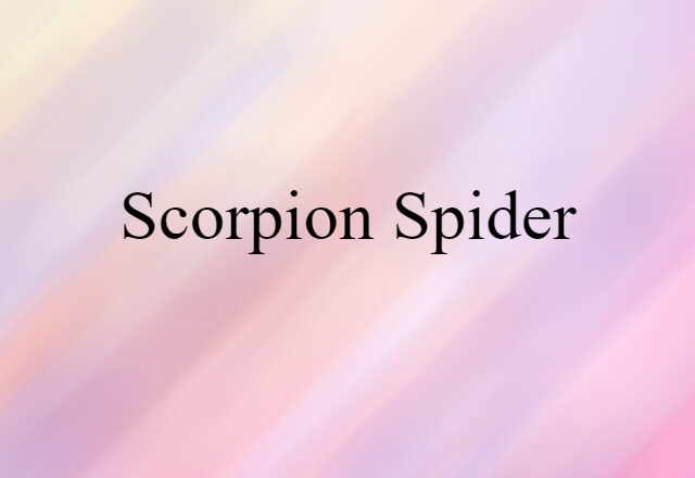 Scorpion Spider (noun) Definition, Meaning & Examples