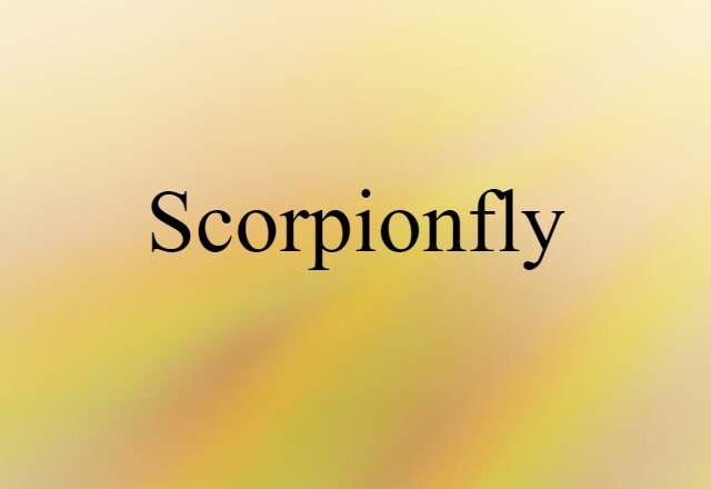 scorpionfly