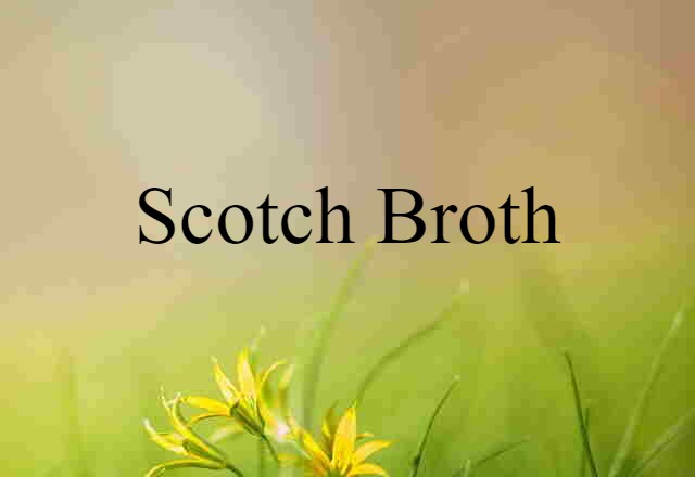 Scotch Broth (noun) Definition, Meaning & Examples