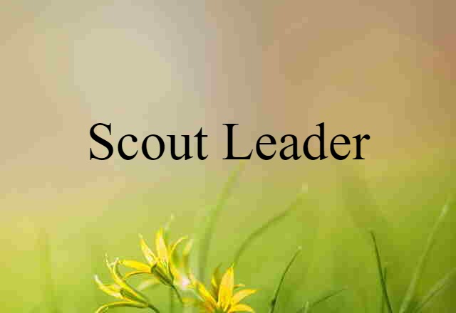 Scout Leader