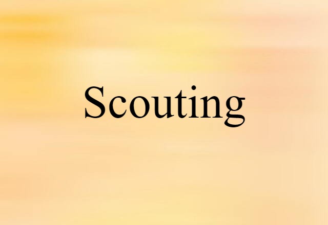 Scouting (noun) Definition, Meaning & Examples