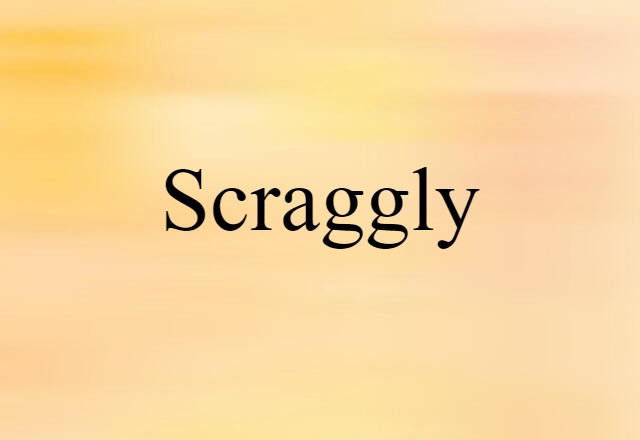 Scraggly (noun) Definition, Meaning & Examples