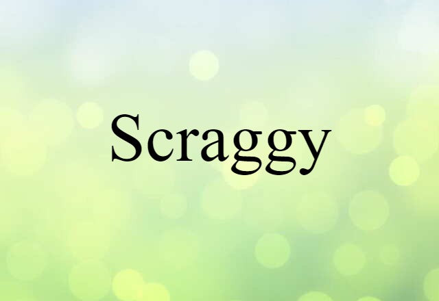 Scraggy (noun) Definition, Meaning & Examples