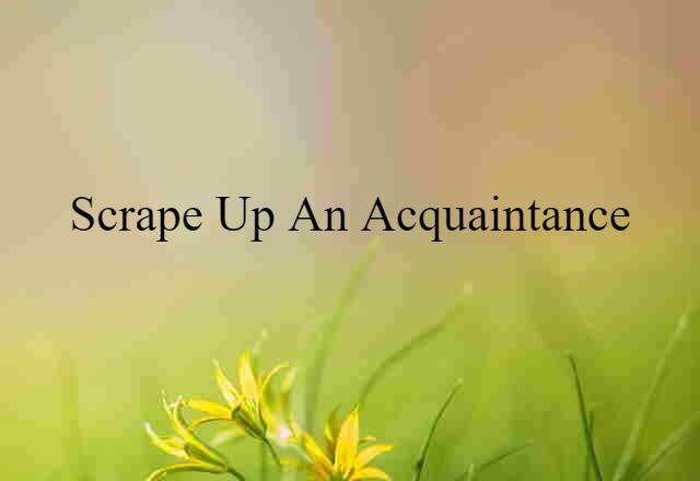 scrape up an acquaintance