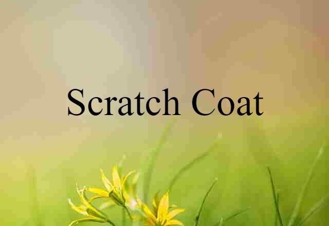 scratch coat