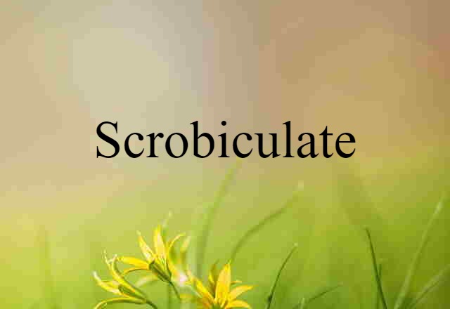 scrobiculate