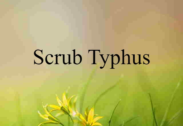 scrub typhus