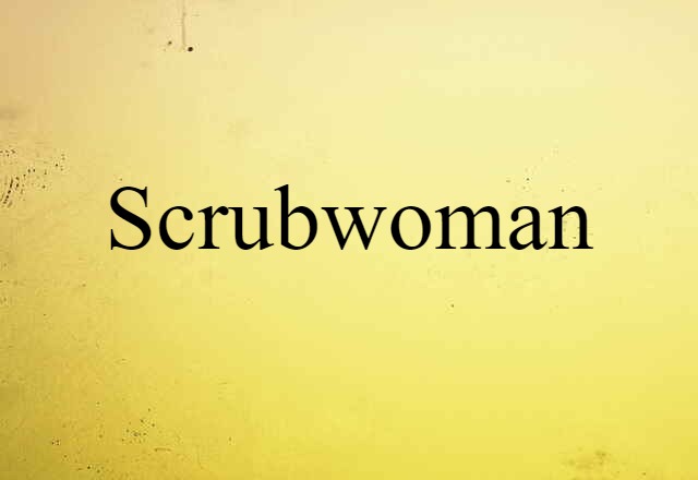 Scrubwoman (noun) Definition, Meaning & Examples