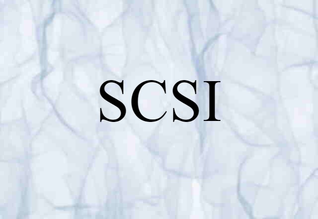 SCSI (noun) Definition, Meaning & Examples