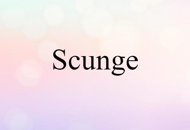 Scunge (noun) Definition, Meaning & Examples