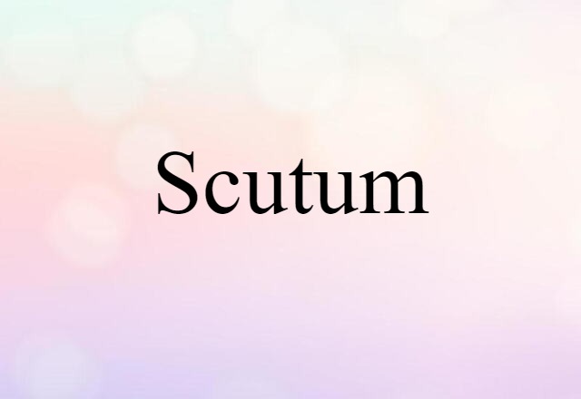 scutum