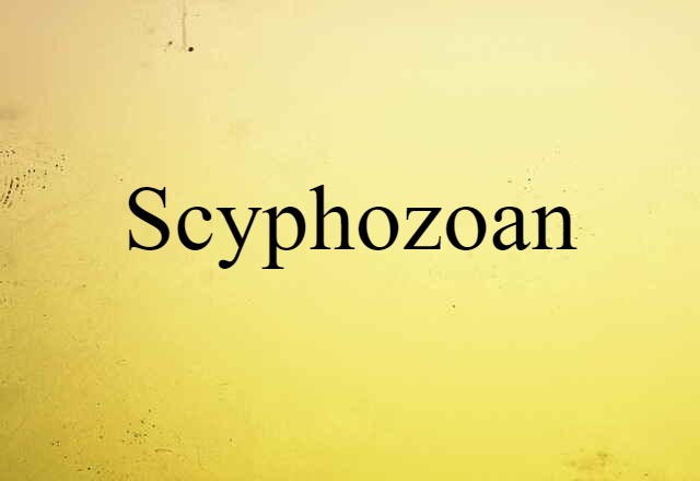 Scyphozoan (noun) Definition, Meaning & Examples