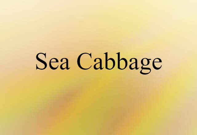 Sea Cabbage (noun) Definition, Meaning & Examples