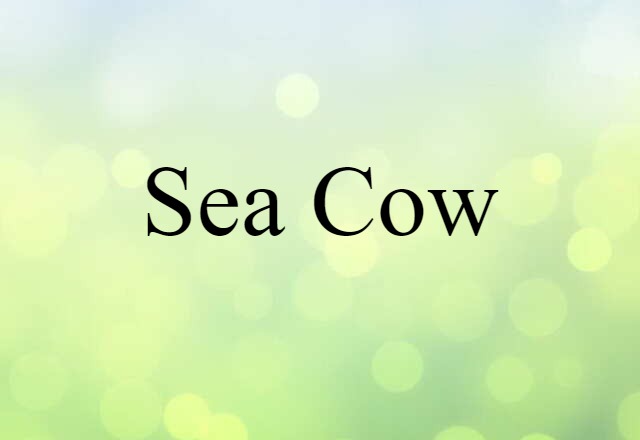 sea cow