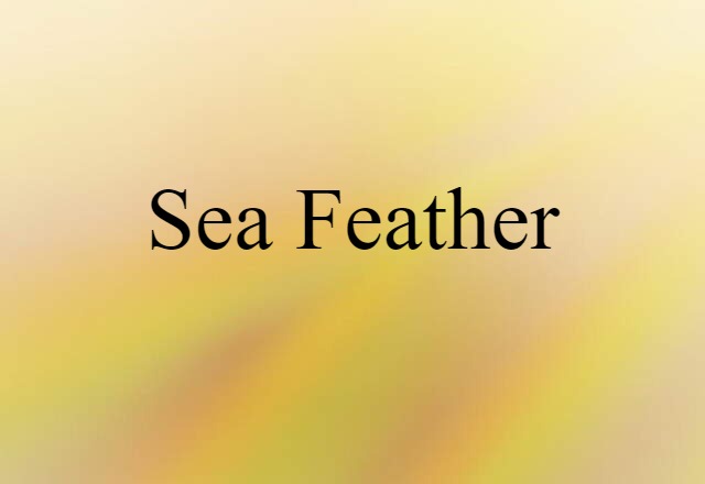 sea feather