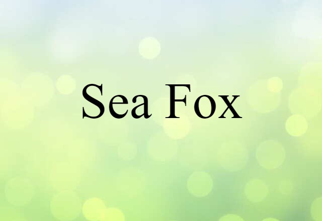 Sea Fox (noun) Definition, Meaning & Examples