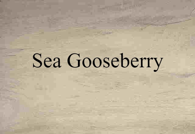 sea gooseberry