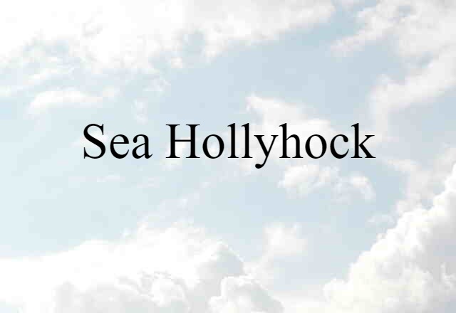 sea hollyhock