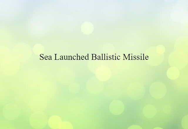 Sea-launched Ballistic Missile (noun) Definition, Meaning & Examples