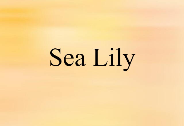 sea lily