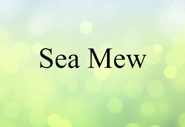 sea mew