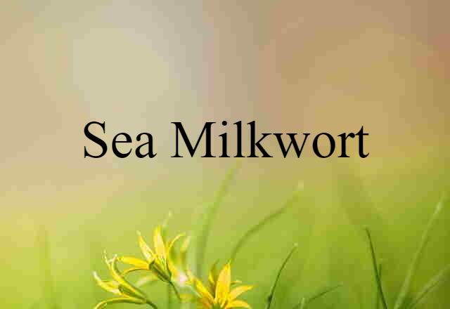 Sea Milkwort (noun) Definition, Meaning & Examples