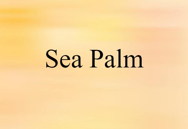 Sea Palm (noun) Definition, Meaning & Examples