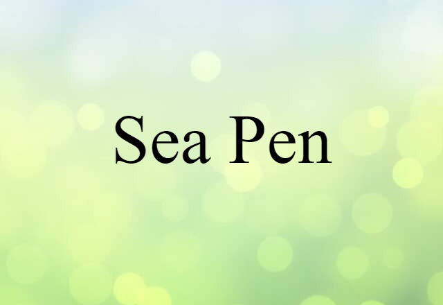 Sea Pen (noun) Definition, Meaning & Examples