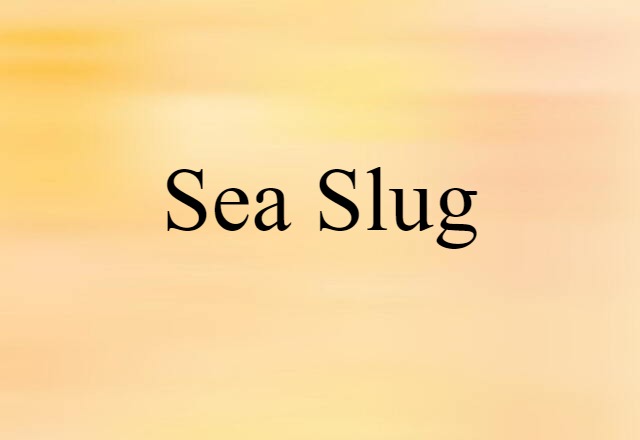 sea slug