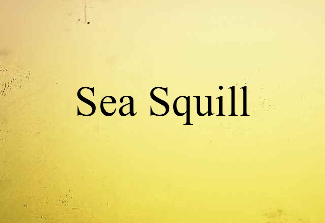 sea squill