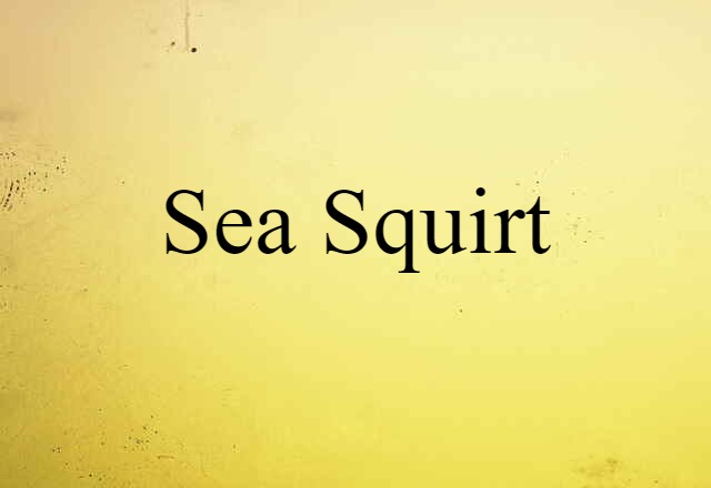 sea squirt