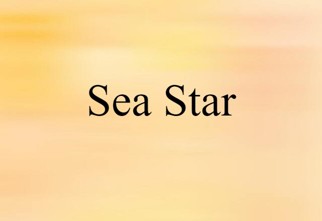 Sea Star (noun) Definition, Meaning & Examples