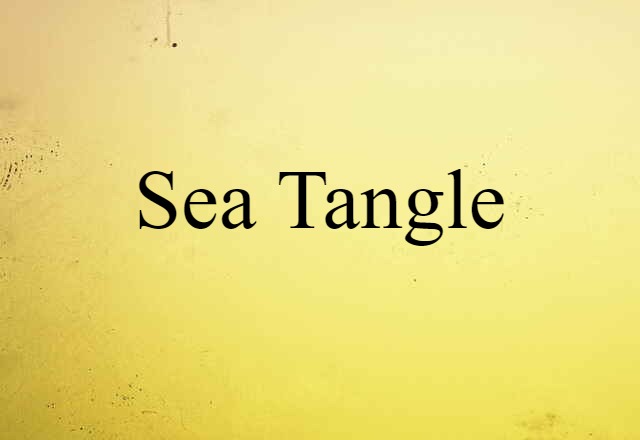 Sea Tangle (noun) Definition, Meaning & Examples