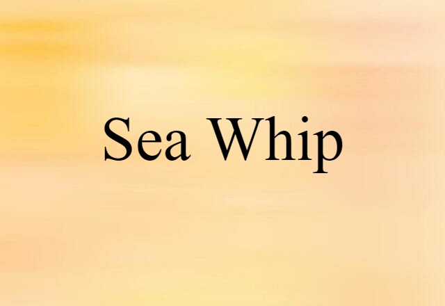 sea whip