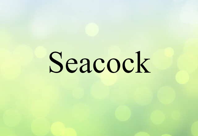 seacock