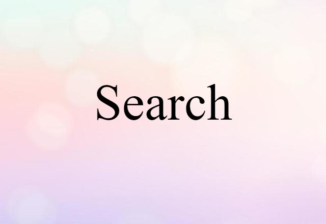 Search (noun) Definition, Meaning & Examples